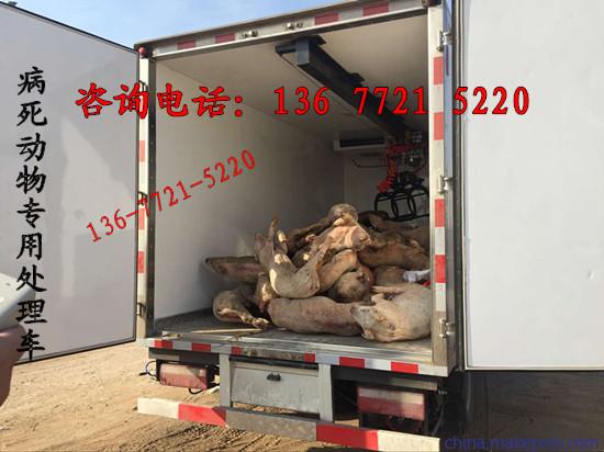 大連市無害化病死動物處理車 專業(yè)畜禽運(yùn)輸車廠家報(bào)價(jià)與服務(wù)指南